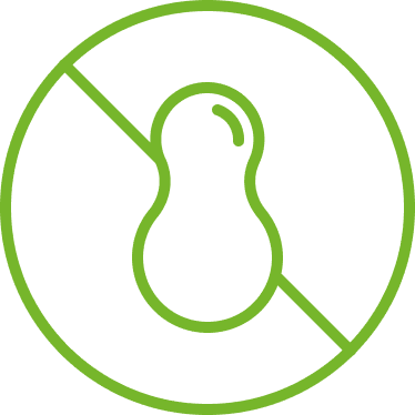 Nuts Free Icon Nuts Free Icon